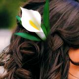 White Calla Lily Hair Clip