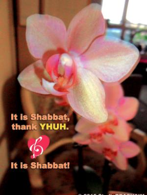 Thank YHUH it's shabbat Thank YHUH it's shabbat