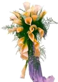 Cascade bouquet Cascade bouquet
