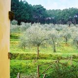 Room with a View, Villa Controni, Lucca