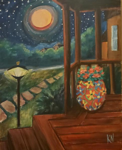Illuminated Night