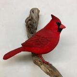 Cardinal #9