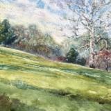 Bee Tree Park, STL County MO