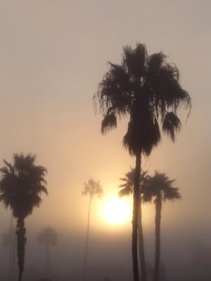 Sunrise at La Jolla Shores