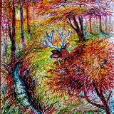katnaj Artworks    *Colors in Harmony*   Earth,  Life,  Nature