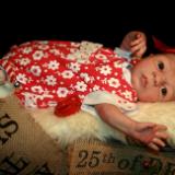 Christmas Preemie Baby Girl ~ ADOPTED/SOLD