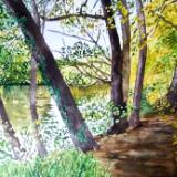 Taff Walk