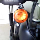 Engraved Motorcycle Turn Signal