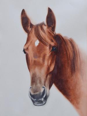 LUNA DE CUBA, 25cm x 35cm, 2017 LUNA DE CUBA, 25cm x 35cm, 2017