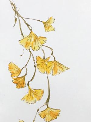 Autumn Gingko (private collection) Autumn Gingko (private collection)