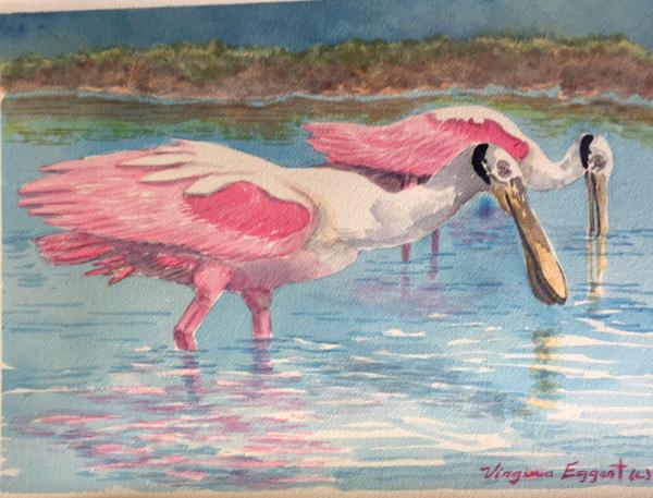 Spoonbills