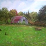 Old Barn pheasants in the field