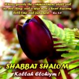 SHABBAT SHALOM!