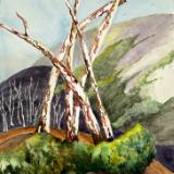 Carla Scheidlinger Watercolors