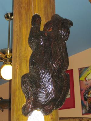 Climbing Bear