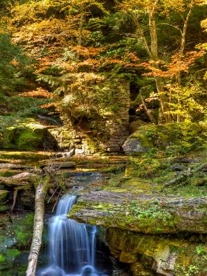 Tompkins Falls Autumn Tompkins Falls Autumn