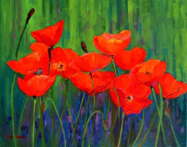 Red Poppies  oil  16x20