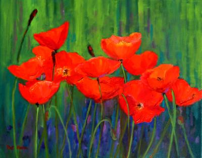 Red Poppies oil 16x20 Red Poppies oil 16x20