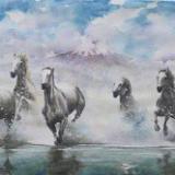 Mystic horses, 35cm  x 50cm, 2014