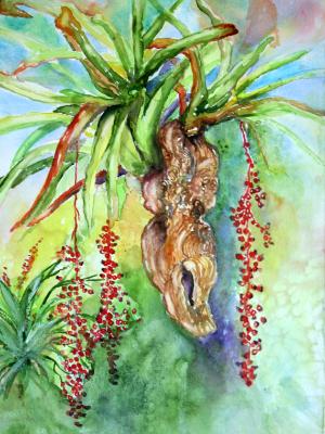Hanging Garden Hanging Garden