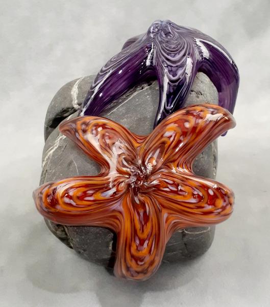  #09162510 Two Starfish on rock Purple & Orange 5.5''HX5''WX6''D $260.00