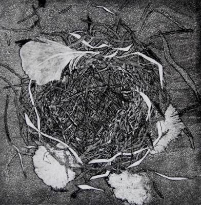 Nest with Feathers Nest with Feathers
