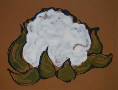 Cauliflower Cauliflower