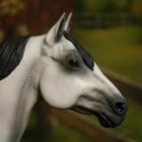 Breyer 'ADIOS' Customised SOLD