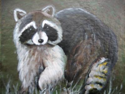 Mr. Raccoon Mr. Raccoon