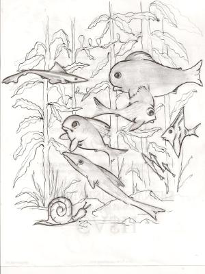 Aquarium, 