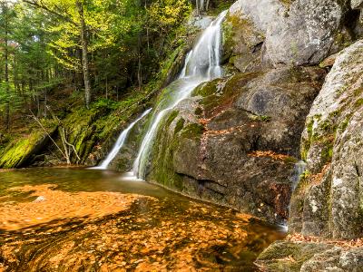 Moss Glen Falls Leaf Swirls Moss Glen Falls Leaf Swirls
