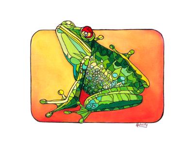 Wall frog Wall frog