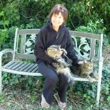 folksy artist M. Mulally folksy artist M. Mulally