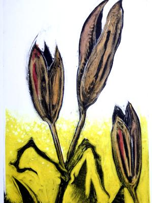 Seeds III Seeds III