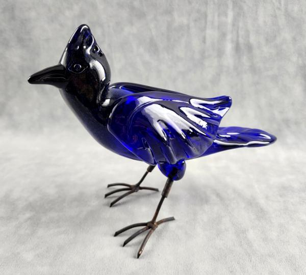 #05082421 free standing steller's jay 8''Hx10''L $400