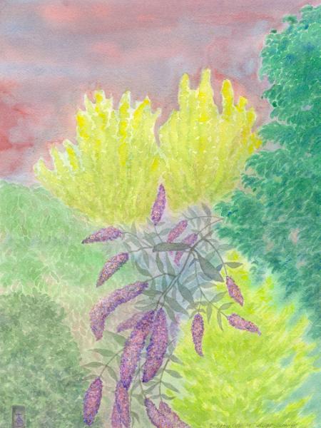 Evening Garden with Butterfly Bush