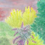 Garden Landscapes