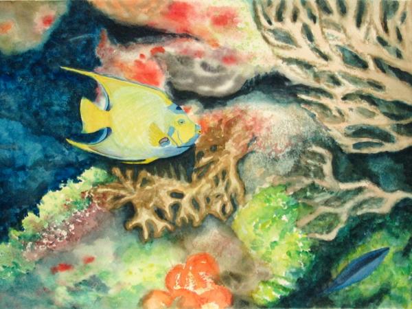 Jewels Under the Sea