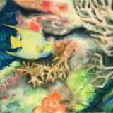 Jewels Under the Sea