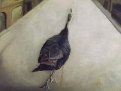 New Horizons New Horizons