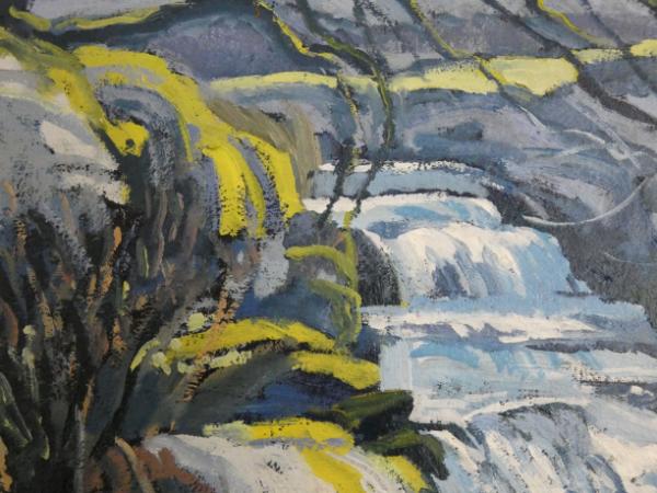 Tumbling waters at the West Okement
