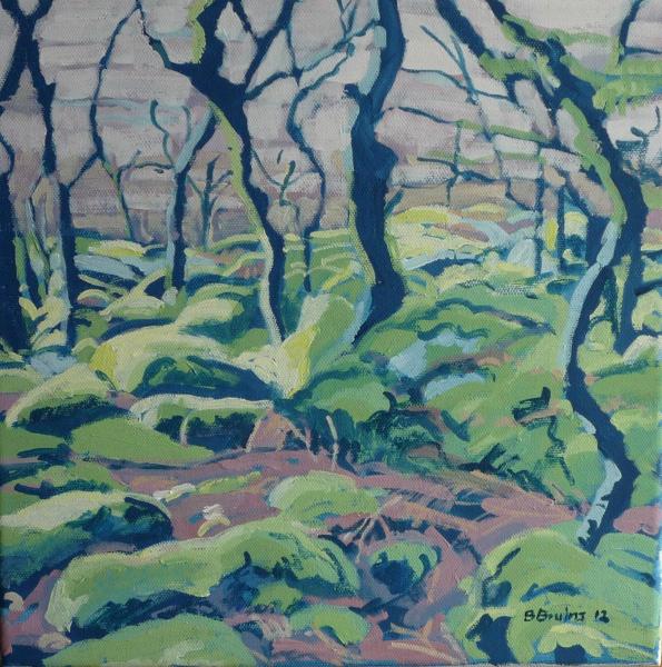 Black-a-tor Copse, Dartmoor