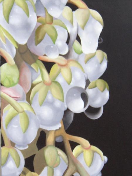 The Morning Dew on White Buds       18" x 36"