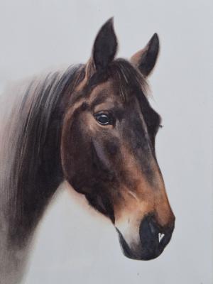JEVITAS, 25cm x 35cm, 2017 JEVITAS, 25cm x 35cm, 2017