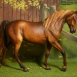 Artist resin - 'Godiva' custom NFS