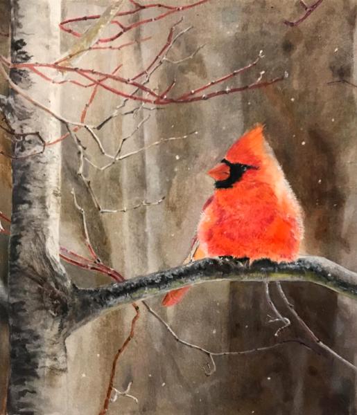 Cardinal among the Flurries. SOLD