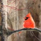 Cardinal among the Flurries. SOLD