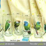 Set of handpainted glasses: GREEN BIRDS