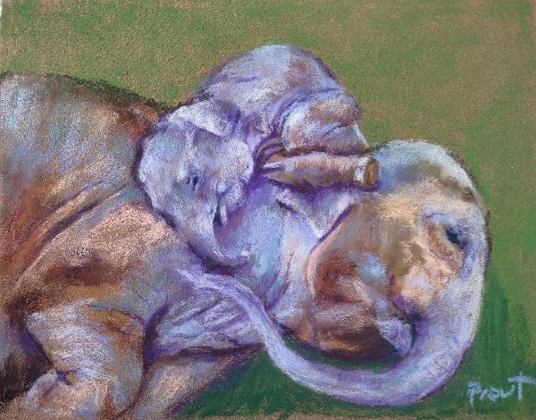 Mama & Calf
