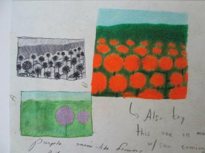 Flower Field Sketches